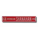 Steel Street Sign:  "14 BRENDAN SHANAHAN DR"