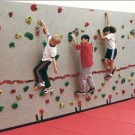 10' H x 4' W Standard Climbing Wall Panel With 25 Groperz Hand Holds from Everlast Climbing