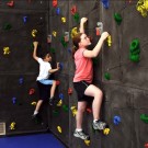 8' H x 40' W Superior Rock Traverse Climbing Wall with 200 Hand Holds from Everlast Climbing
