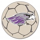 Wisconsin (Whitewater) Warhawks 27" Round Soccer Ball Mat