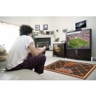 Cleveland Browns 4' x 6' Area Rug