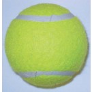 Economy Practice Tennis Balls (Case of 120)