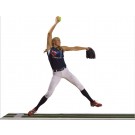 Jennie Finch Softball Pitching Mat - Full Length 3'x10' with Power Line from ProMounds