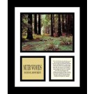 Muir Woods National Monument 13" x 11" Framed Photograph (NP79A-0C8)